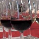 Nasce la prima scuola toscana del vino del Chianti