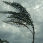 In arrivo temporali e venti molto forti al sud