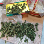 Casal di Principe (CE): sorpreso ad essiccare marijuana in casa, arrestato 32enne