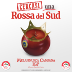 Festa della Melannurca Campana IGP al Real Sito di Carditello, sarà premiata la "Rossa del Sud"