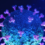 Variante Omicron, presidente della SIV: “Se i dati iniziali fossero confermati si tratterebbe di un’evoluzione del virus meno aggressiva”