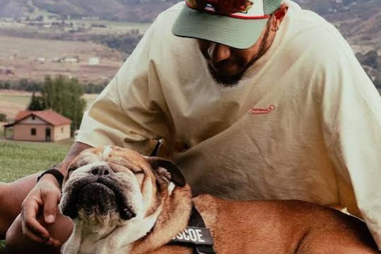 hamilton-e-roscoe-instagram-quotidianoitalia.it