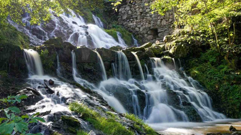Il bosco incantato in Italia