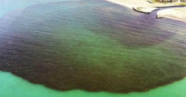 Macchia nera foce Agnena, tracce di DNA umano nelle analisi, sequestrato depuratore di Vitulazio