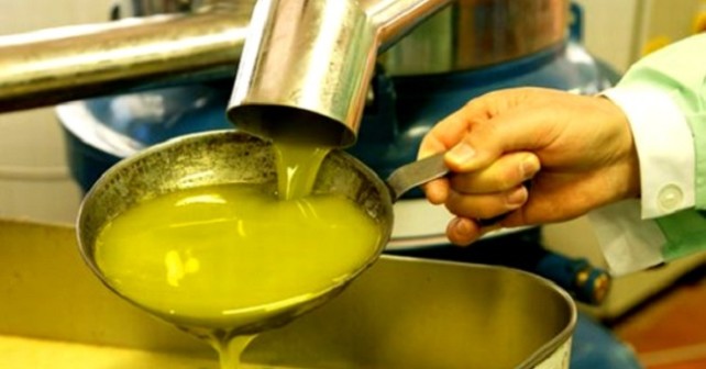 Una vera invasione dell’olio tunisino, 260% delle importazioni