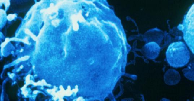 Cancro, Renzi elargisce soldi solo alle aziende farmaceutiche