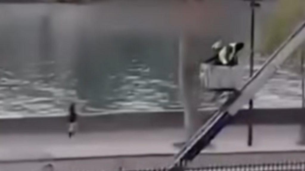 Furto Louvre, possibile svolta nelle indagini | Cinque arresti: dei gioielli nessuna traccia