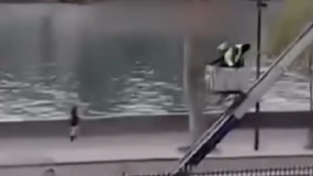 Furto Louvre, possibile svolta nelle indagini | Cinque arresti: dei gioielli nessuna traccia