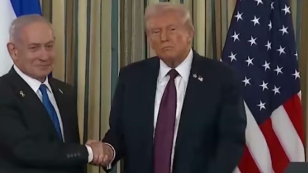 Ecco cosa prevede