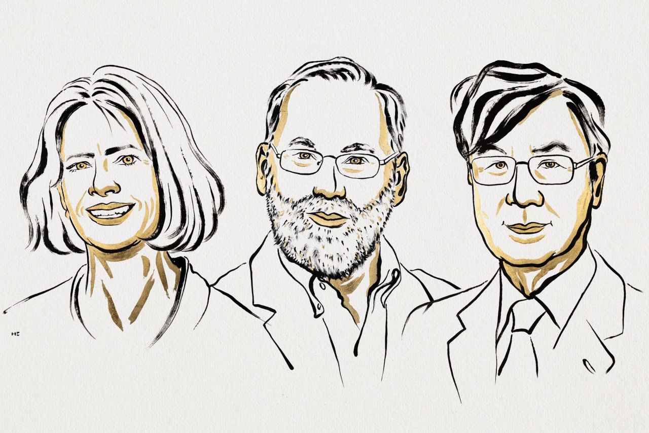 Nobel per la Medicina 2025: Brunkow, Ramsell e Sakaguchi premiati per una nuova frontiera dell’immunoterapia
